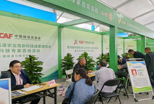 第三十屆中國楊凌農業高新科技成果博覽會開幕，揭秘現代農業技術咨詢新趨勢