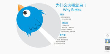 笨鳥海淘 把轉(zhuǎn)運(yùn)物流打到極致,做海淘供應(yīng)鏈?zhǔn)袌龅南蕊w笨鳥