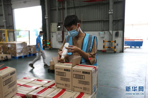 開放不息，海淘不止 疫情防控常態化下的廣州對外開放與海淘物流之路